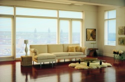 Silhouette Window Shadings Image