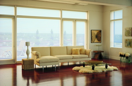 Silhouette Window Shadings image