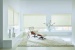 Provenance Woven Woods Shades thumbnail image #2
