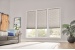 Cellular Shades thumbnail image #3