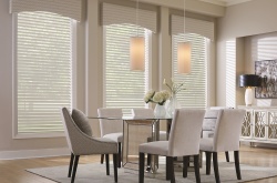 Sheer Shades Image
