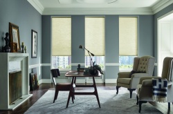Applause Honeycomb Shades Image