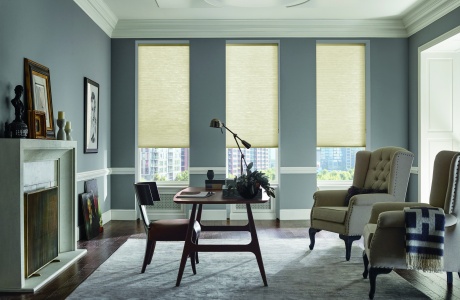 Applause Honeycomb Shades image