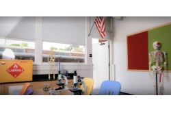 Roller Shades Image