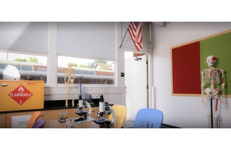 Roller Shades image